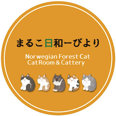 まるこ日和チャンネルアイコン画像