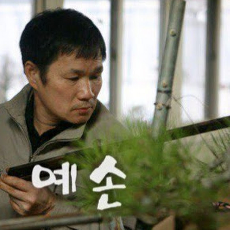 분재 스토리.bonsai story. Logo