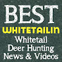 Whitetail Deer Hunting logo