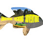 Amature Fishing Adventure logo