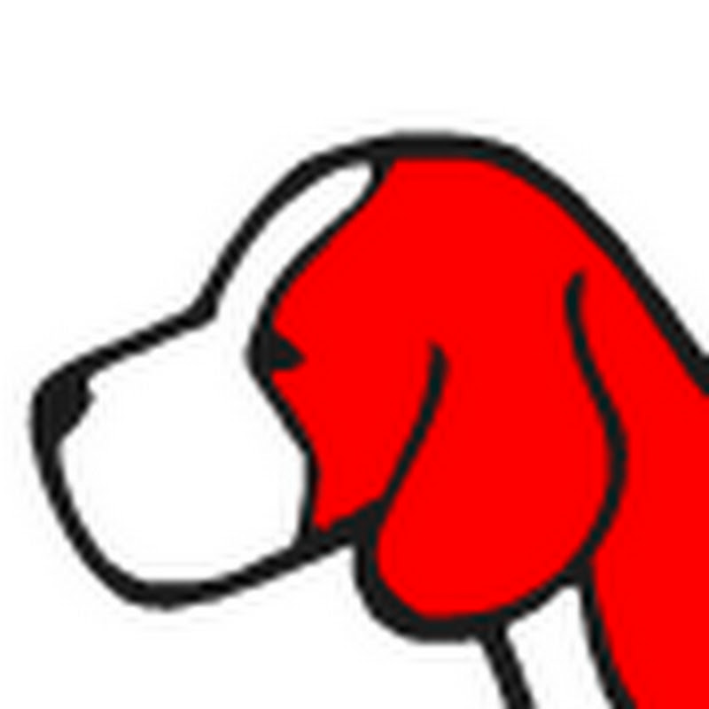 silverbeaglemedia