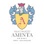 Hotel Villa e Palazzo Aminta logo