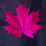 rOhKapNJlFM-channel-avatar-Orlandi