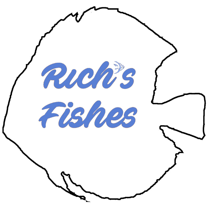 Rich's Fishes icon