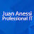 Juan Anessi Profesional IT