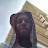@ChrisOZ.official