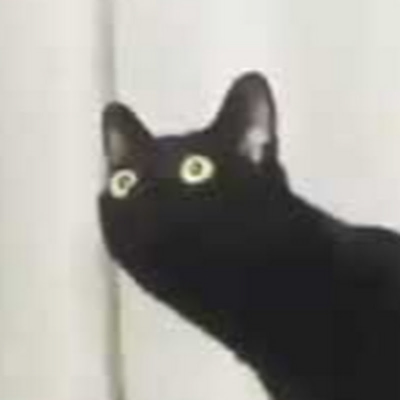 The Noodle Cat Gamers