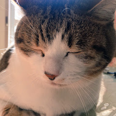 ただのあおきんぐ