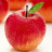 @applepie1445