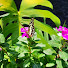 sr_jV2dHCEs-channel-avatar-Khalizah Aliimanda