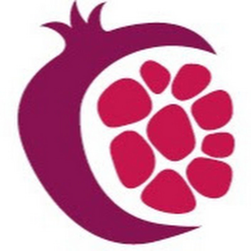 Punica Invest GmbH