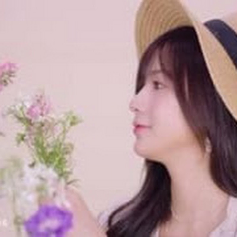 Panda Apink
