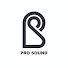 HTrshpzNTmM-channel-avatar-Prosound Records Official and KLa Project Official