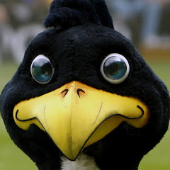 New THFC Stadium Time Lapses