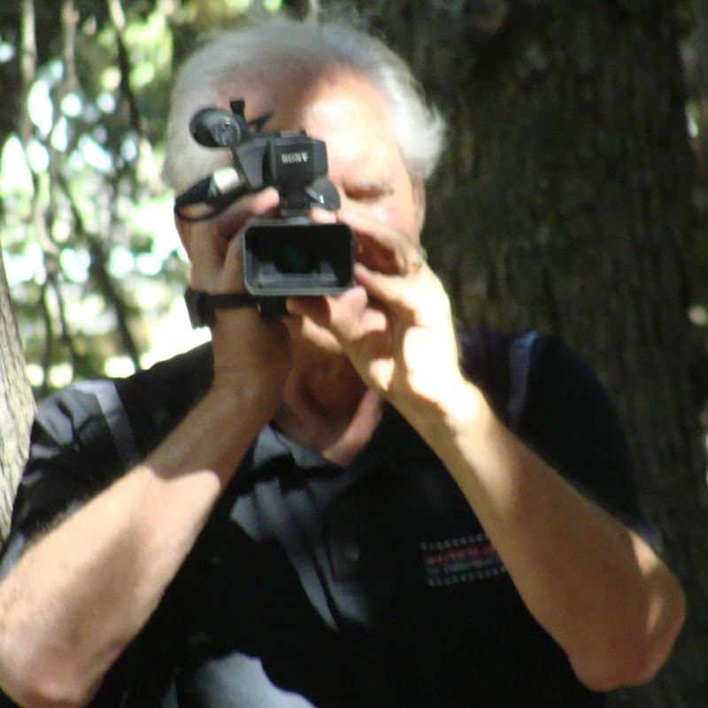 TERRY KURTZ