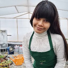 Ms Bee Germany