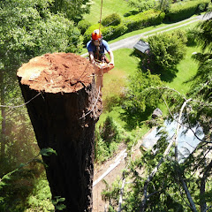 Reg Coates net worth