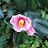 @user-up5pk2pr4n