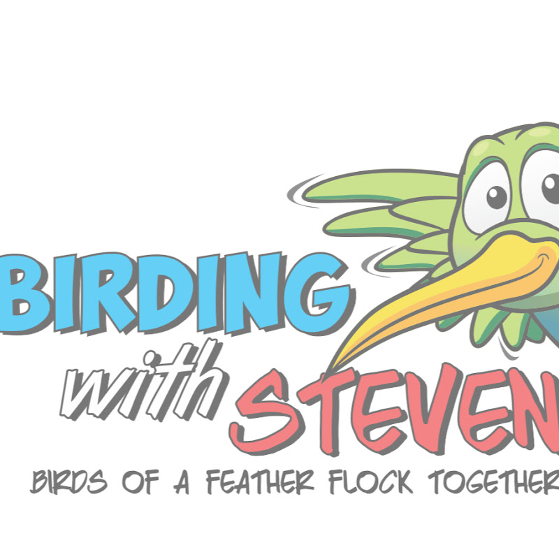 Birding with Steven