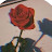 @الاءالغامدي-ش6ف