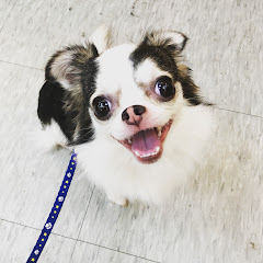 Claire Hsuアイコン画像