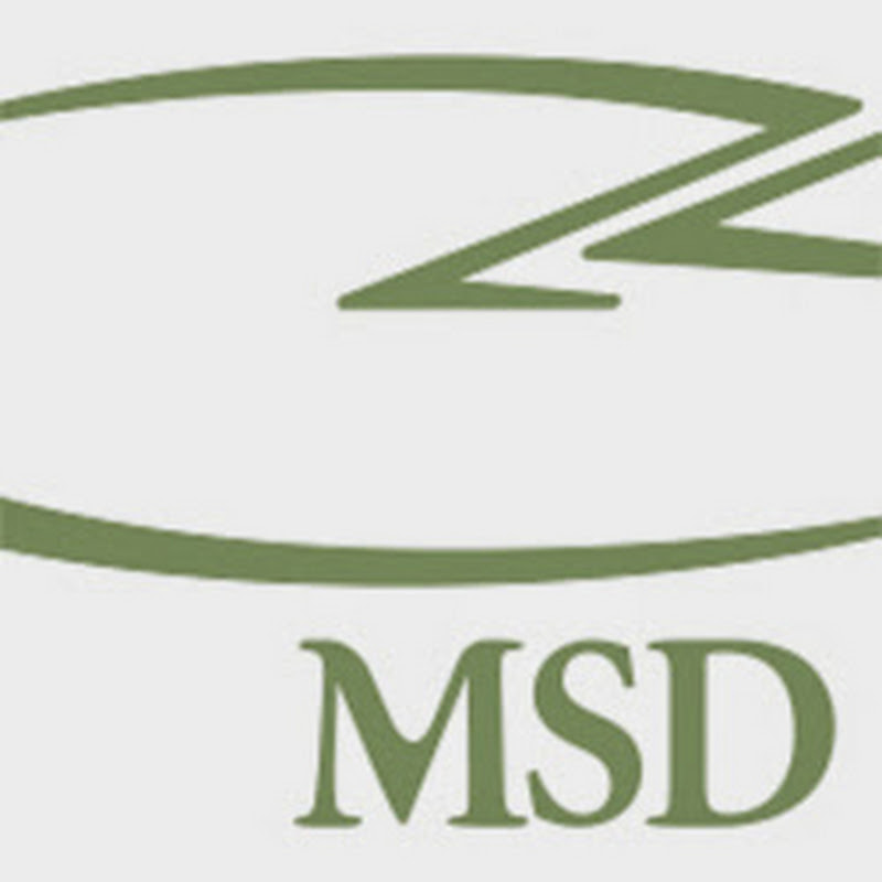Market Share Development