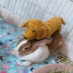 吳小妹アイコン画像