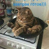 Автор
