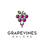 Grapevines Galore logo