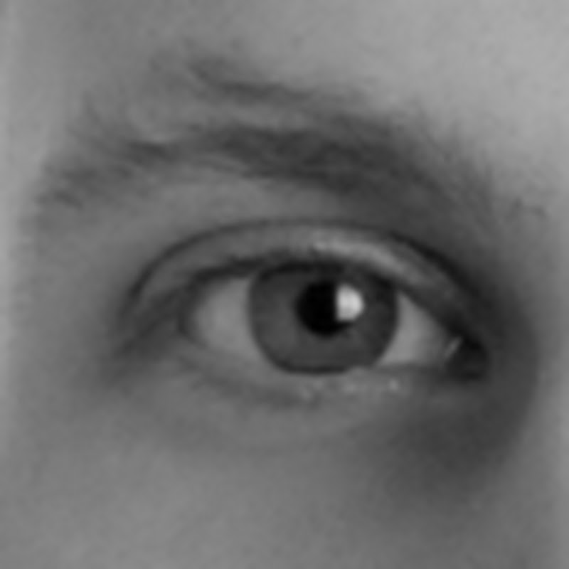 Marten Lohstroh icon