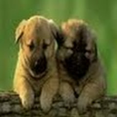 欧洲自由行巴黎旅游地接及旅馆预定服务アイコン画像