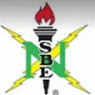 National Society of Black Engineers - TCPC Chapter logo
