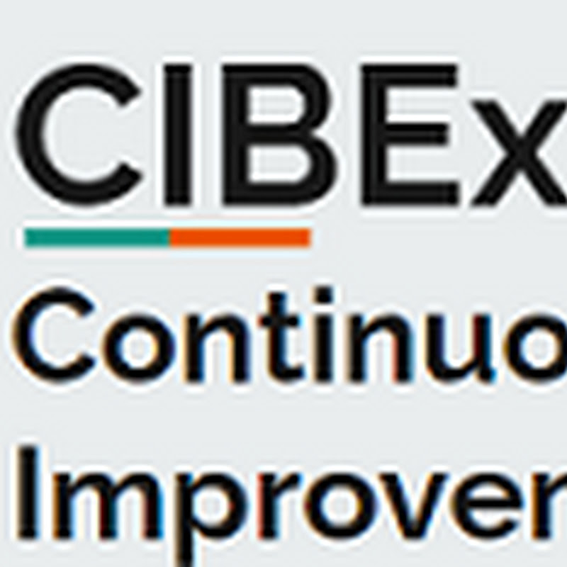 CIBEx Consulting
