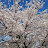 @산해-w9b