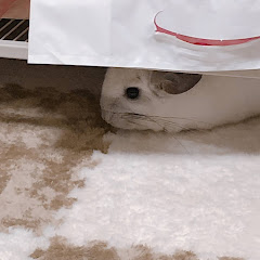てんぷらちゃん