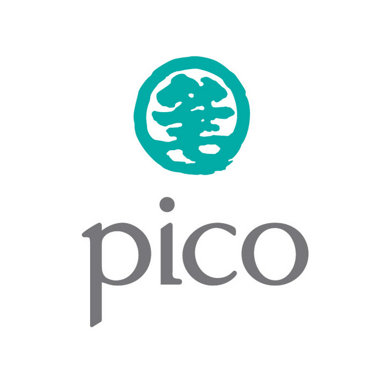 Pico GIobal