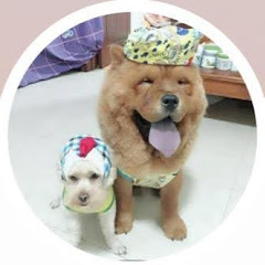 萌宠总动员 funny petsアイコン画像