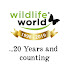 6LU_AttGJkw-channel-avatar-WildlifeWorldUK