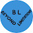 @beyondlimitations291