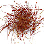 Bunyip Saffron logo