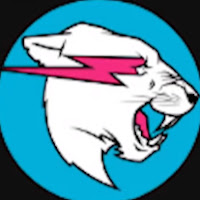 Profile Picture of Beast Philanthropy