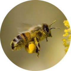 Логотип каналу Пчела и Пасечник