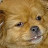 @einzeln00's avatar