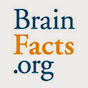 BrainFacts.org logo