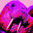 NsY6YwItNEg-channel-avatar-MiSTer Walrus FPGA