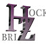 Ow2mBE2GLN0-channel-avatar-briZHockey