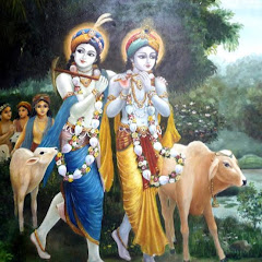 TV KRISHNA NETWORK