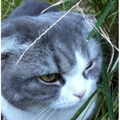 諸塚夕貴（エクセレンス）