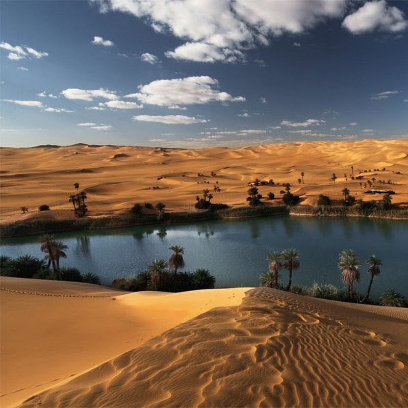 Oasis Oasis