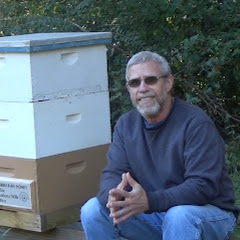 Jeff Horchoff Bees Avatar